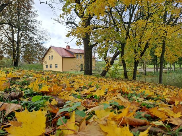 Vērgales pagasta muzejs